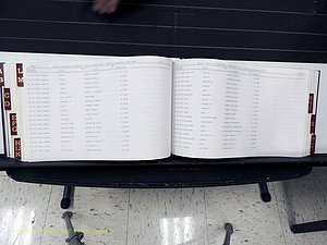 Surry Co, NC, Marriages, Female Index, A-Z, Beginning-1899 (305).JPG