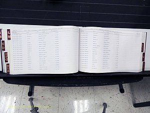 Surry Co, NC, Marriages, Female Index, A-Z, Beginning-1899 (307).JPG