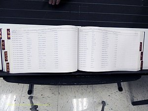 Surry Co, NC, Marriages, Female Index, A-Z, Beginning-1899 (308).JPG
