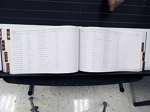 Surry Co, NC, Marriages, Female Index, A-Z, Beginning-1899 (311).JPG
