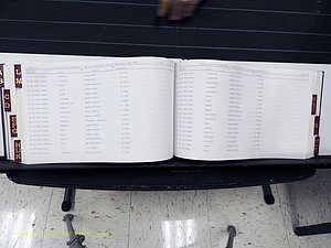 Surry Co, NC, Marriages, Female Index, A-Z, Beginning-1899 (314).JPG