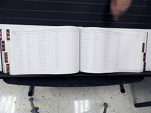 Surry Co, NC, Marriages, Female Index, A-Z, Beginning-1899 (315).JPG