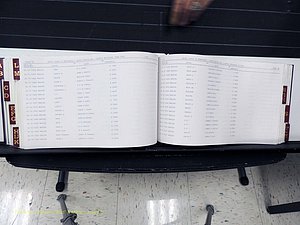 Surry Co, NC, Marriages, Female Index, A-Z, Beginning-1899 (317).JPG