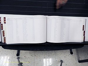 Surry Co, NC, Marriages, Female Index, A-Z, Beginning-1899 (318).JPG