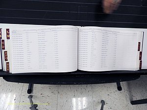Surry Co, NC, Marriages, Female Index, A-Z, Beginning-1899 (330).JPG