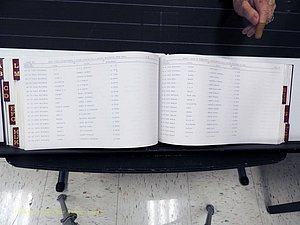 Surry Co, NC, Marriages, Female Index, A-Z, Beginning-1899 (335).JPG