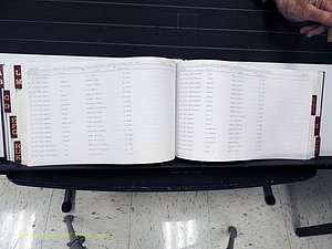 Surry Co, NC, Marriages, Female Index, A-Z, Beginning-1899 (336).JPG