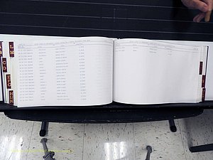 Surry Co, NC, Marriages, Female Index, A-Z, Beginning-1899 (343).JPG