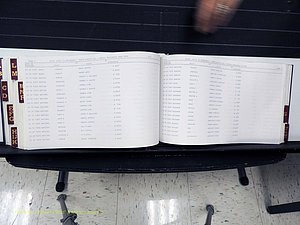 Surry Co, NC, Marriages, Female Index, A-Z, Beginning-1899 (347).JPG