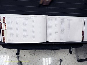 Surry Co, NC, Marriages, Female Index, A-Z, Beginning-1899 (358).JPG