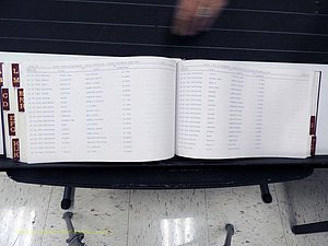 Surry Co, NC, Marriages, Female Index, A-Z, Beginning-1899 (360).JPG