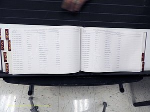 Surry Co, NC, Marriages, Female Index, A-Z, Beginning-1899 (361).JPG