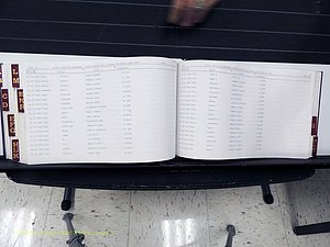 Surry Co, NC, Marriages, Female Index, A-Z, Beginning-1899 (362).JPG