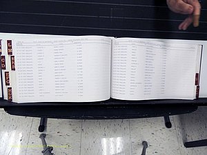 Surry Co, NC, Marriages, Female Index, A-Z, Beginning-1899 (366).JPG