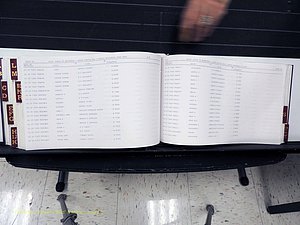 Surry Co, NC, Marriages, Female Index, A-Z, Beginning-1899 (371).JPG