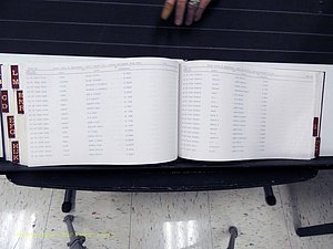 Surry Co, NC, Marriages, Female Index, A-Z, Beginning-1899 (377).JPG