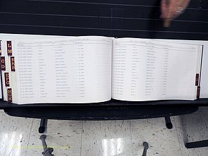 Surry Co, NC, Marriages, Female Index, A-Z, Beginning-1899 (381).JPG