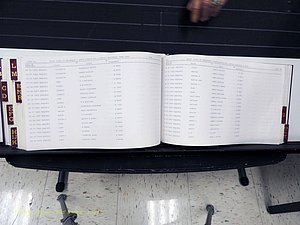 Surry Co, NC, Marriages, Female Index, A-Z, Beginning-1899 (383).JPG