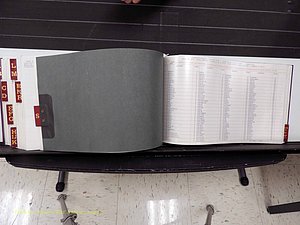 Surry Co, NC, Marriages, Female Index, A-Z, Beginning-1899 (387).JPG