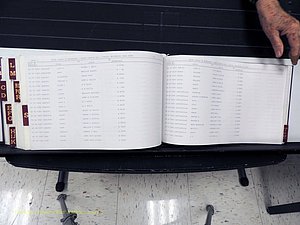 Surry Co, NC, Marriages, Female Index, A-Z, Beginning-1899 (389).JPG