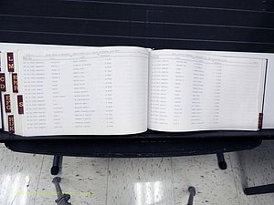 Surry Co, NC, Marriages, Female Index, A-Z, Beginning-1899 (390).JPG