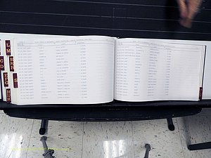 Surry Co, NC, Marriages, Female Index, A-Z, Beginning-1899 (392).JPG