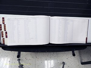 Surry Co, NC, Marriages, Female Index, A-Z, Beginning-1899 (394).JPG