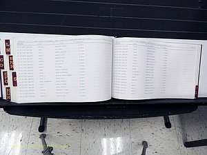 Surry Co, NC, Marriages, Female Index, A-Z, Beginning-1899 (395).JPG