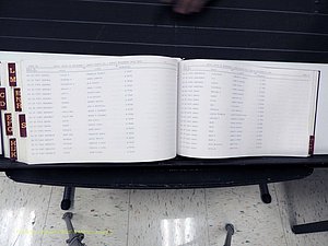 Surry Co, NC, Marriages, Female Index, A-Z, Beginning-1899 (396).JPG