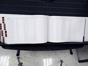 Surry Co, NC, Marriages, Female Index, A-Z, Beginning-1899 (401).JPG