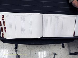 Surry Co, NC, Marriages, Female Index, A-Z, Beginning-1899 (406).JPG