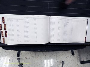 Surry Co, NC, Marriages, Female Index, A-Z, Beginning-1899 (407).JPG