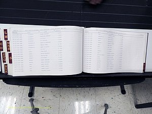 Surry Co, NC, Marriages, Female Index, A-Z, Beginning-1899 (408).JPG