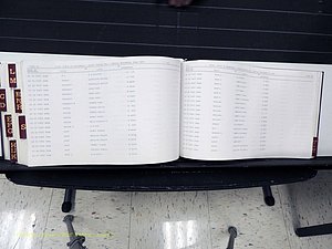 Surry Co, NC, Marriages, Female Index, A-Z, Beginning-1899 (409).JPG