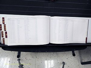 Surry Co, NC, Marriages, Female Index, A-Z, Beginning-1899 (411).JPG