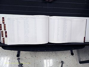 Surry Co, NC, Marriages, Female Index, A-Z, Beginning-1899 (412).JPG