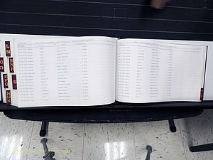 Surry Co, NC, Marriages, Female Index, A-Z, Beginning-1899 (413).JPG