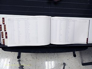 Surry Co, NC, Marriages, Female Index, A-Z, Beginning-1899 (417).JPG