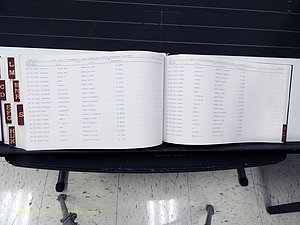 Surry Co, NC, Marriages, Female Index, A-Z, Beginning-1899 (419).JPG