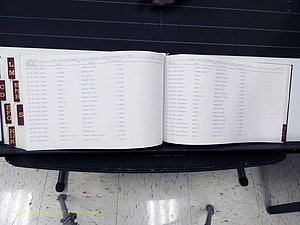 Surry Co, NC, Marriages, Female Index, A-Z, Beginning-1899 (420).JPG