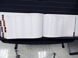 Surry Co, NC, Marriages, Female Index, A-Z, Beginning-1899 (421).JPG