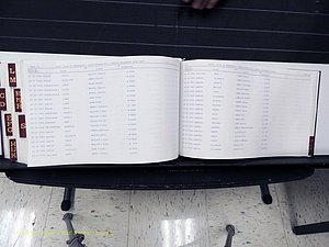 Surry Co, NC, Marriages, Female Index, A-Z, Beginning-1899 (422).JPG