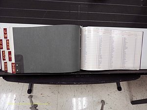 Surry Co, NC, Marriages, Female Index, A-Z, Beginning-1899 (425).JPG