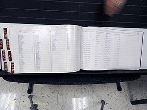 Surry Co, NC, Marriages, Female Index, A-Z, Beginning-1899 (426).JPG