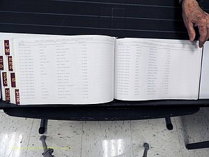 Surry Co, NC, Marriages, Female Index, A-Z, Beginning-1899 (427).JPG