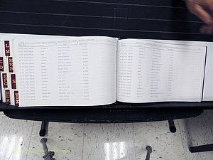 Surry Co, NC, Marriages, Female Index, A-Z, Beginning-1899 (428).JPG