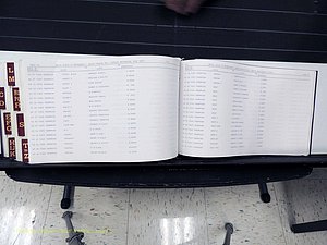 Surry Co, NC, Marriages, Female Index, A-Z, Beginning-1899 (431).JPG