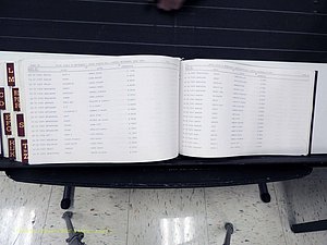 Surry Co, NC, Marriages, Female Index, A-Z, Beginning-1899 (438).JPG