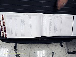 Surry Co, NC, Marriages, Female Index, A-Z, Beginning-1899 (439).JPG