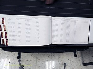 Surry Co, NC, Marriages, Female Index, A-Z, Beginning-1899 (446).JPG